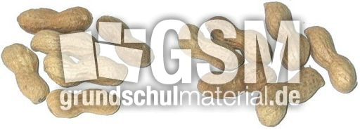 Erdnüsse6+6.jpg